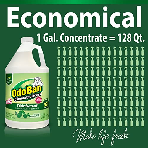 OdoBan Eucalyptus Disinfectant 2-Gal