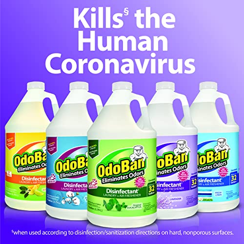 OdoBan Eucalyptus Disinfectant 1-Gal