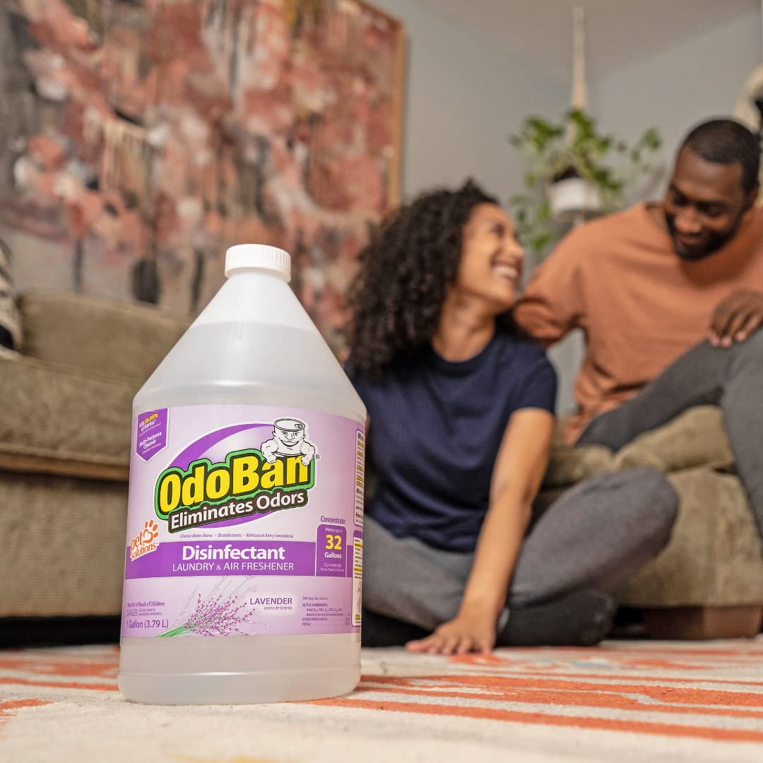 OdoBan Lavender Disinfectant 2-Gal
