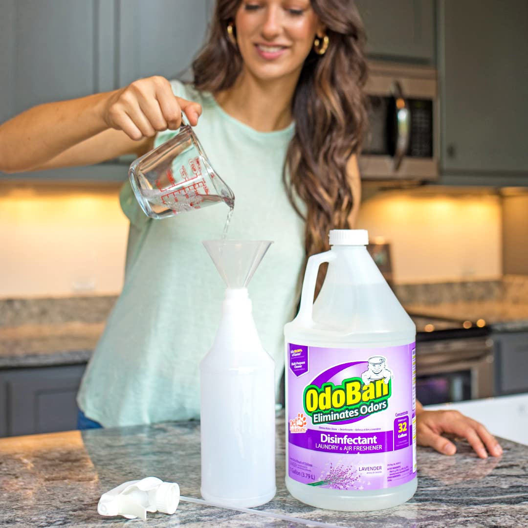 OdoBan Lavender Disinfectant Set