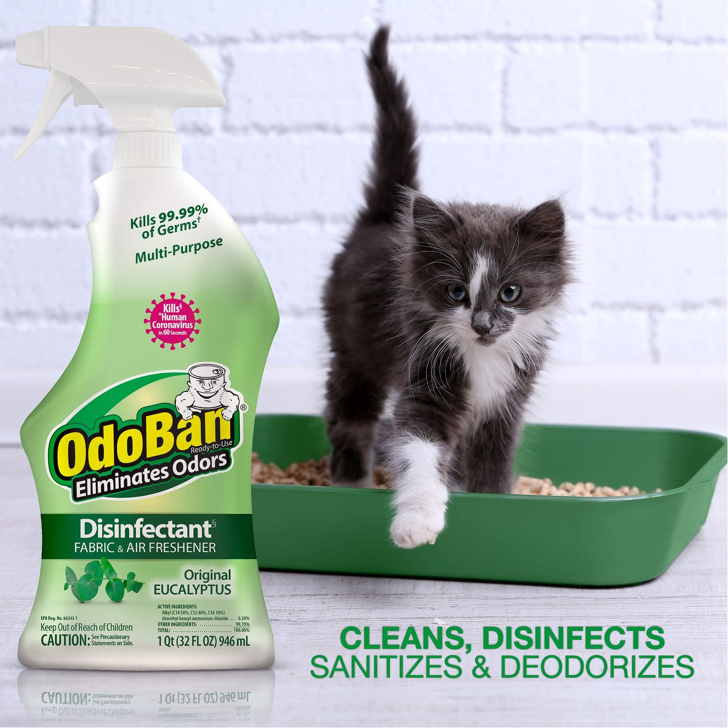 OdoBan Eucalyptus Disinfectant 2-Pack