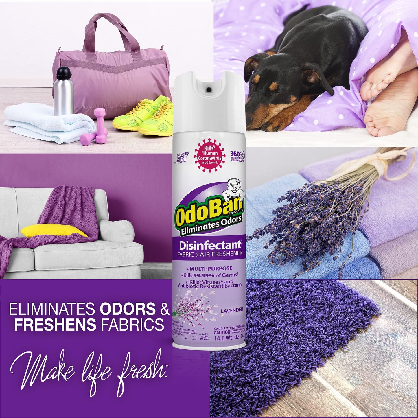 OdoBan Lavender Disinfectant Set