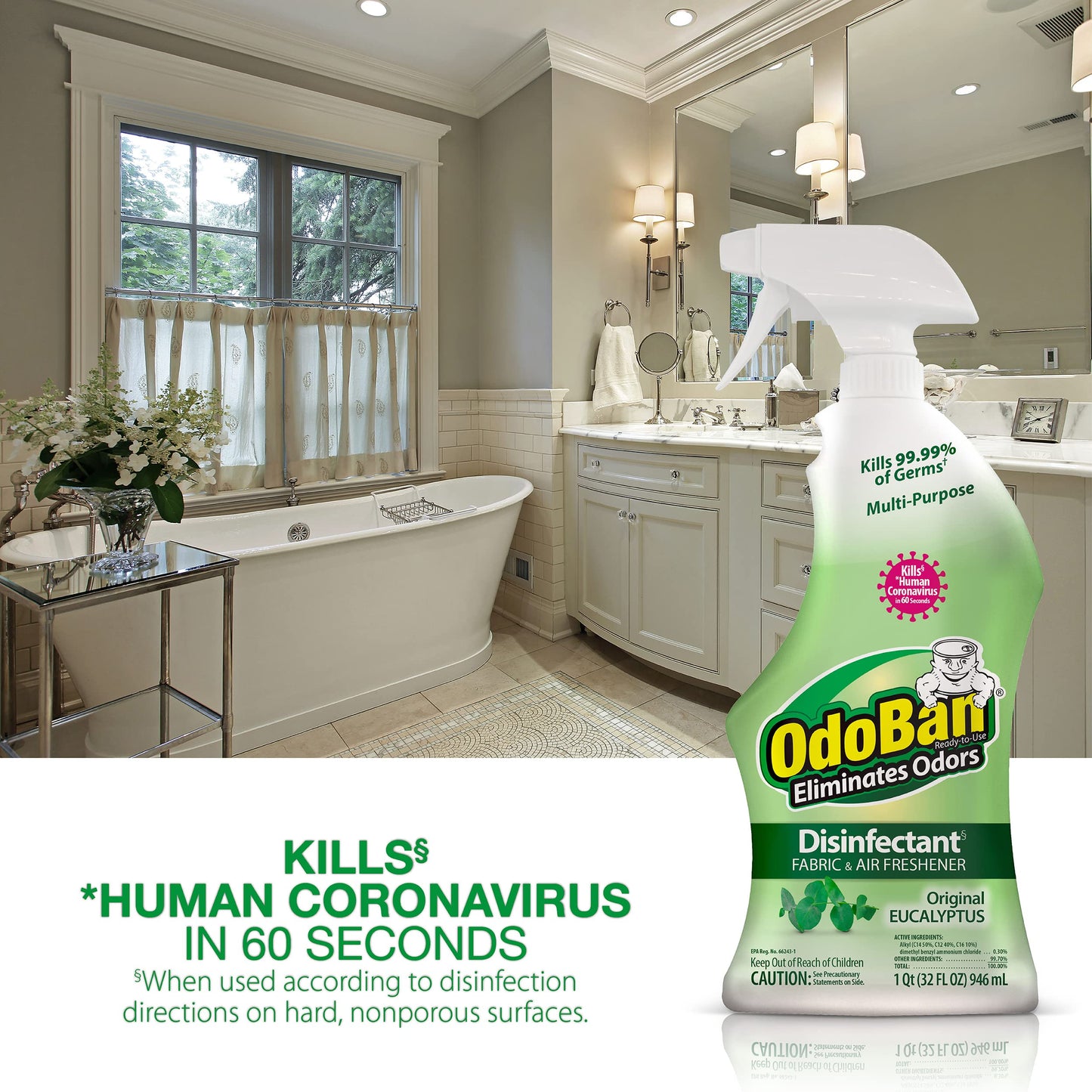 OdoBan Eucalyptus Disinfectant 2-Pack
