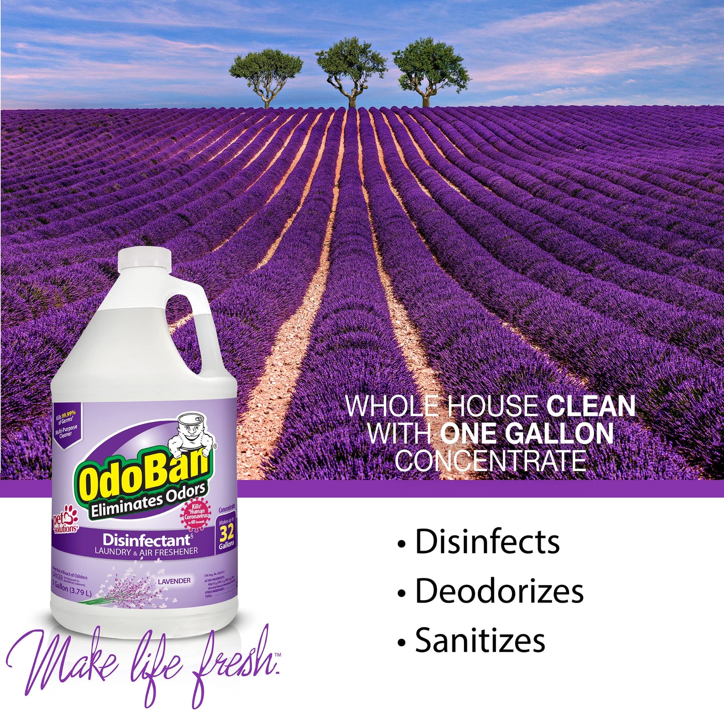OdoBan Lavender Disinfectant 2-Gal
