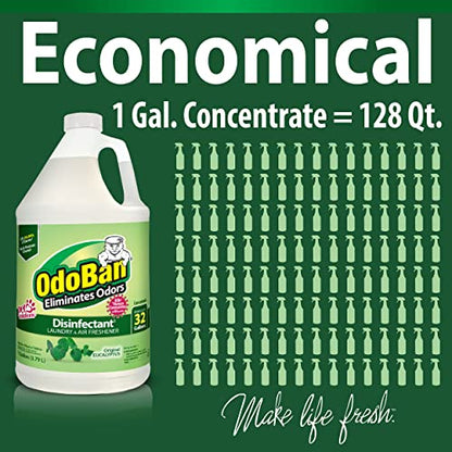 OdoBan Eucalyptus Disinfectant 2-Gal