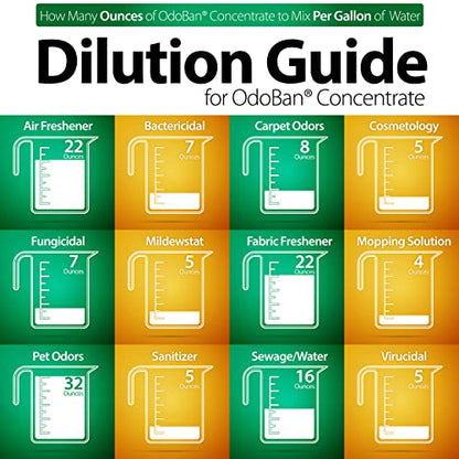 OdoBan Eucalyptus Disinfectant 4-Gal