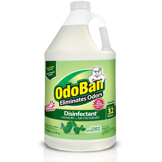 OdoBan Eucalyptus Disinfectant 1-Gal