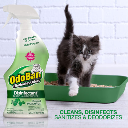 OdoBan Eucalyptus Disinfectant 2-Pack
