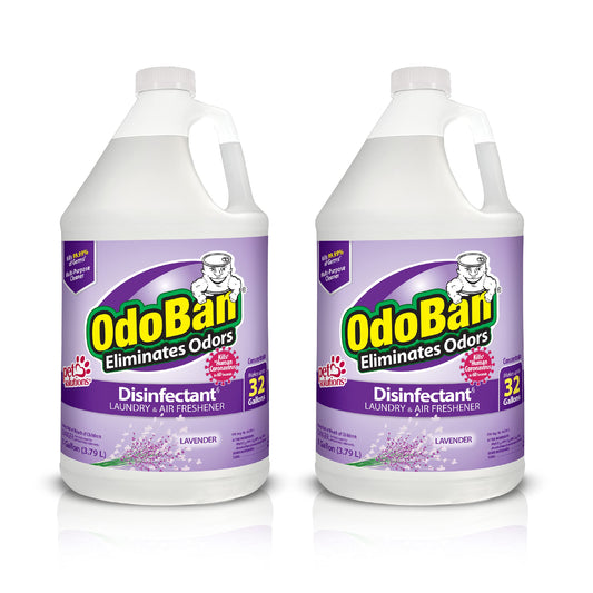 OdoBan Lavender Disinfectant 2-Gal
