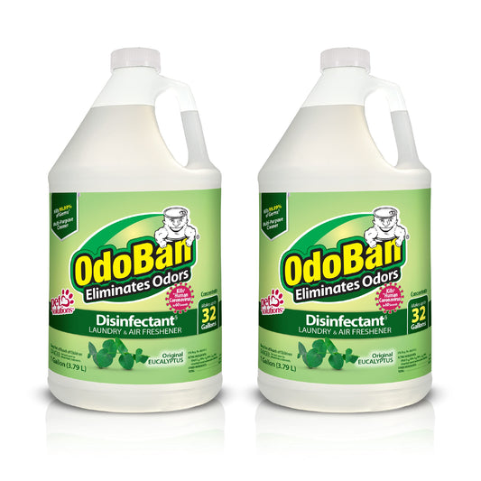 OdoBan Eucalyptus Disinfectant 2-Gal