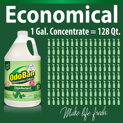 OdoBan Eucalyptus Disinfectant 2-Pack