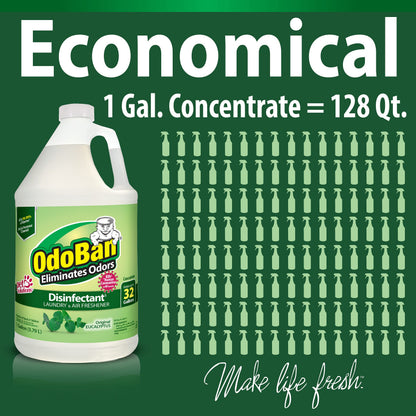 OdoBan Eucalyptus Disinfectant 4-Gal