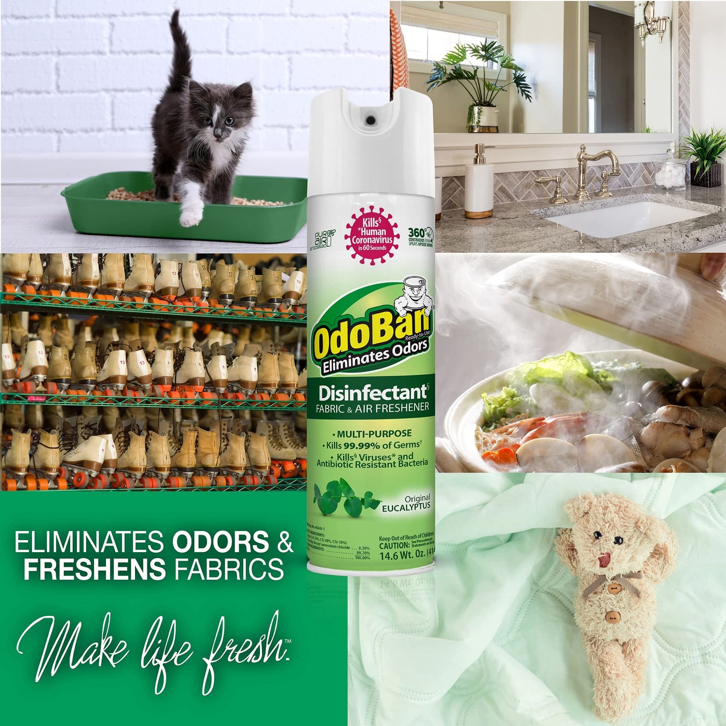 OdoBan Eucalyptus Disinfectant 2-Pack