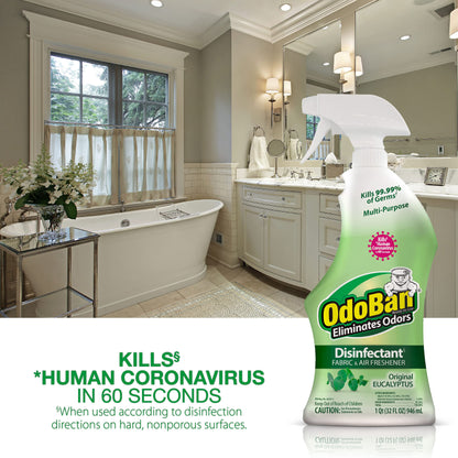 OdoBan Eucalyptus Disinfectant 2-Pack