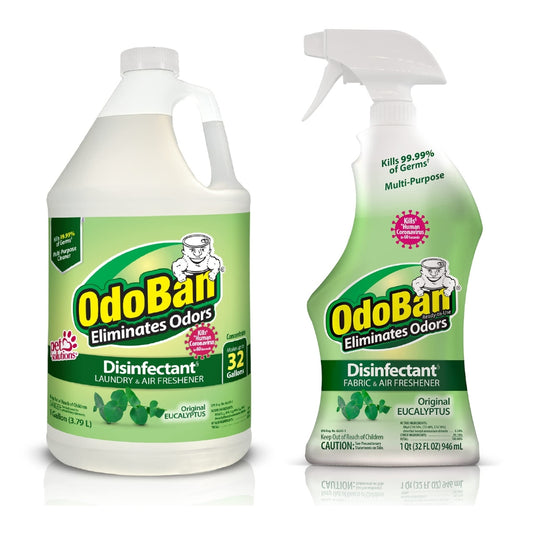 OdoBan Eucalyptus Disinfectant 2-Pack